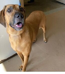 CHARM - ID#A016905
